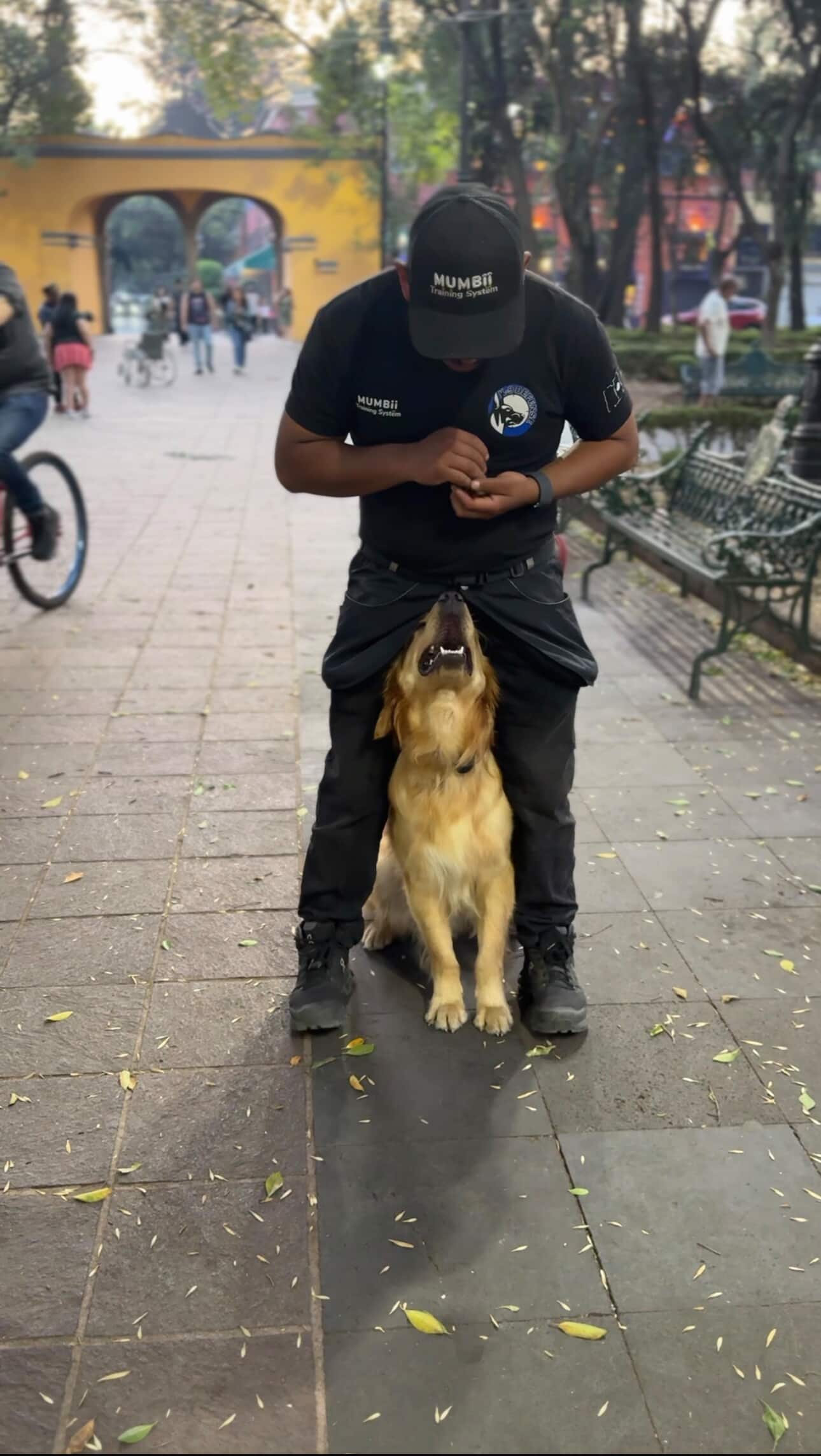 599558345_1157434139891479_6949390748386264443_n