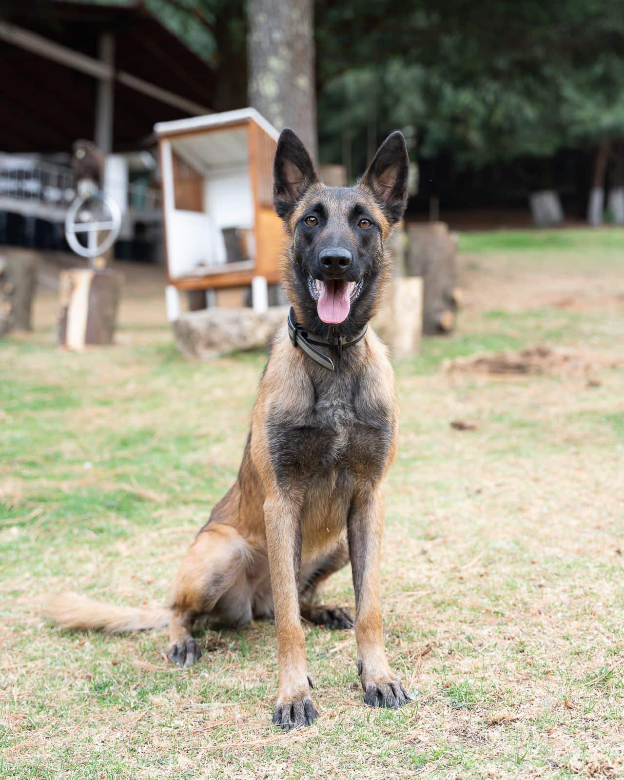 605135622_1426371049130204_4986631002513479620_n