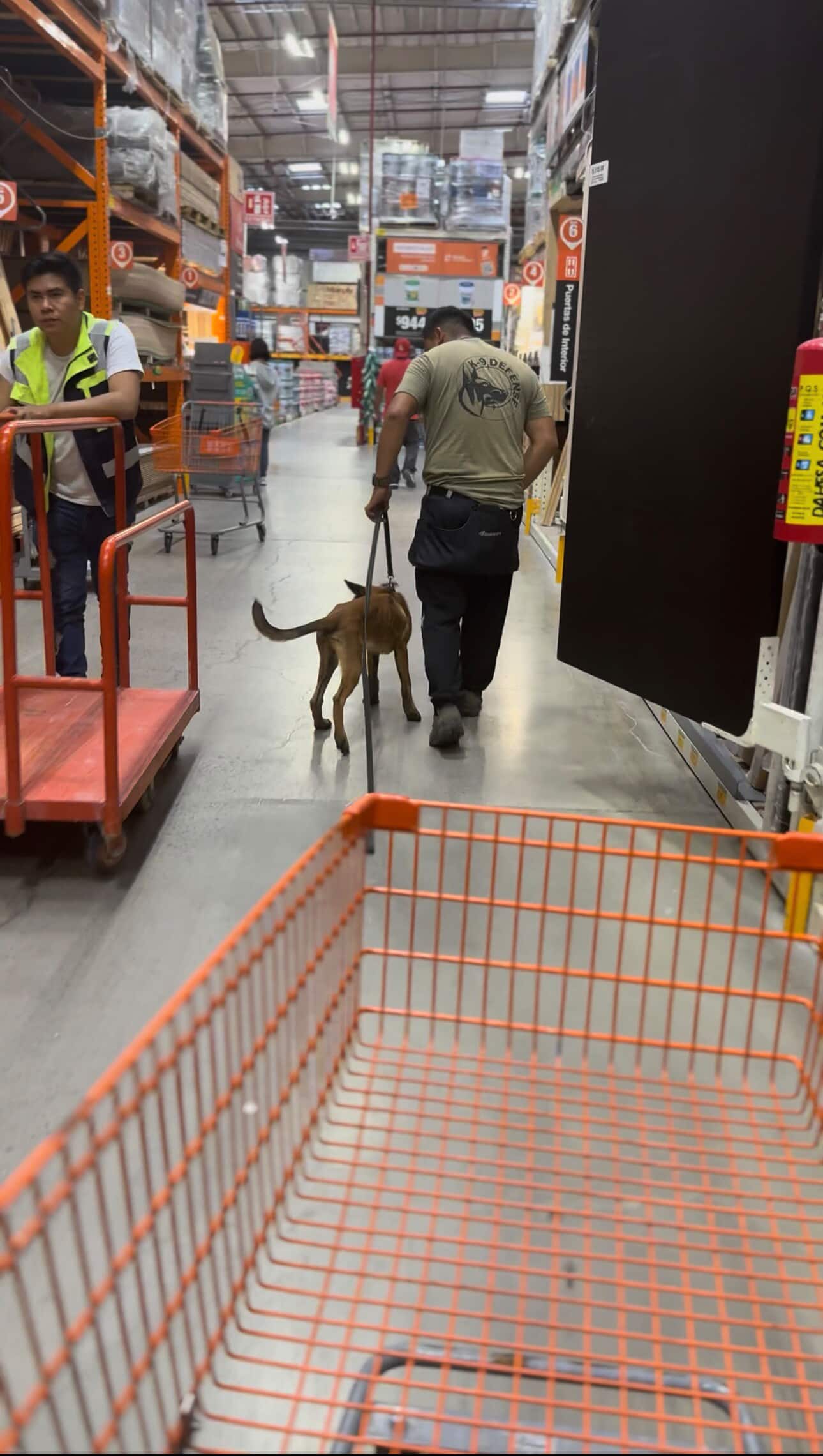 607106913_2310721306063864_1856313246617422880_n