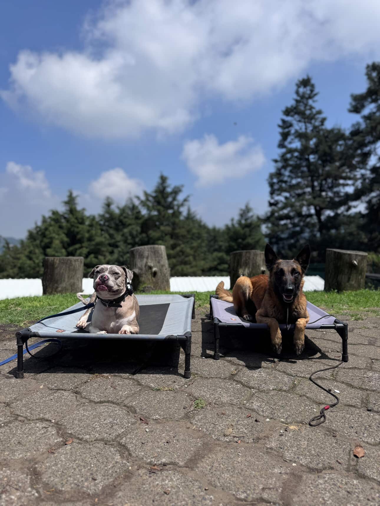 607336665_1431523928701836_6810046666128684615_n