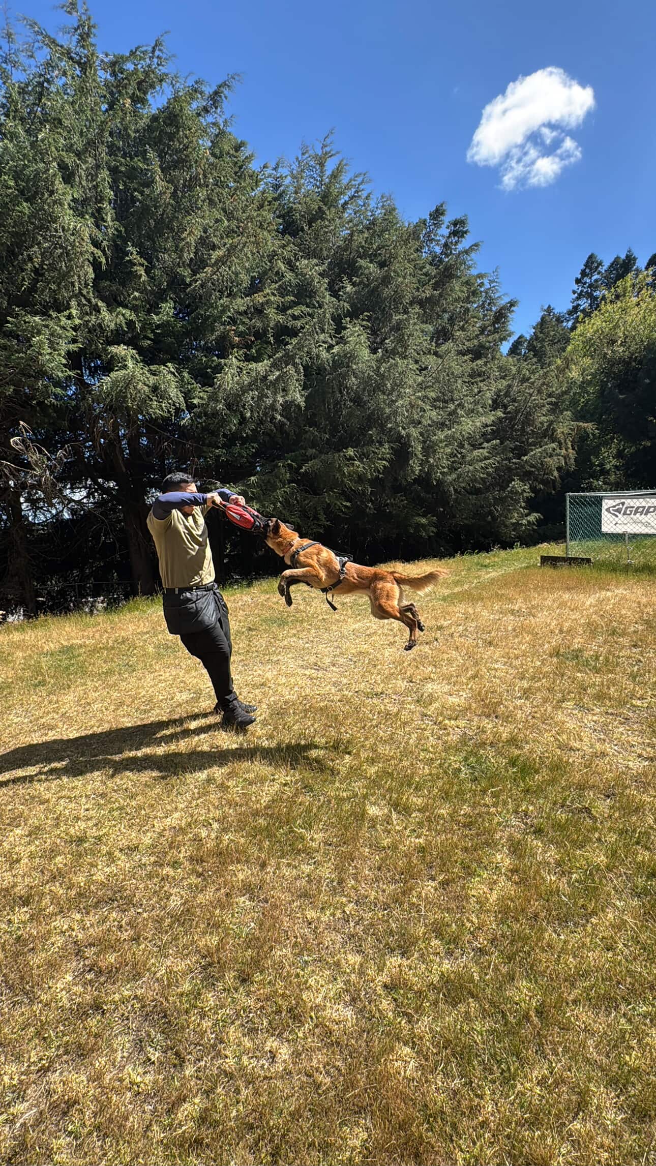 608127725_3360266447453642_2015739156117451261_n