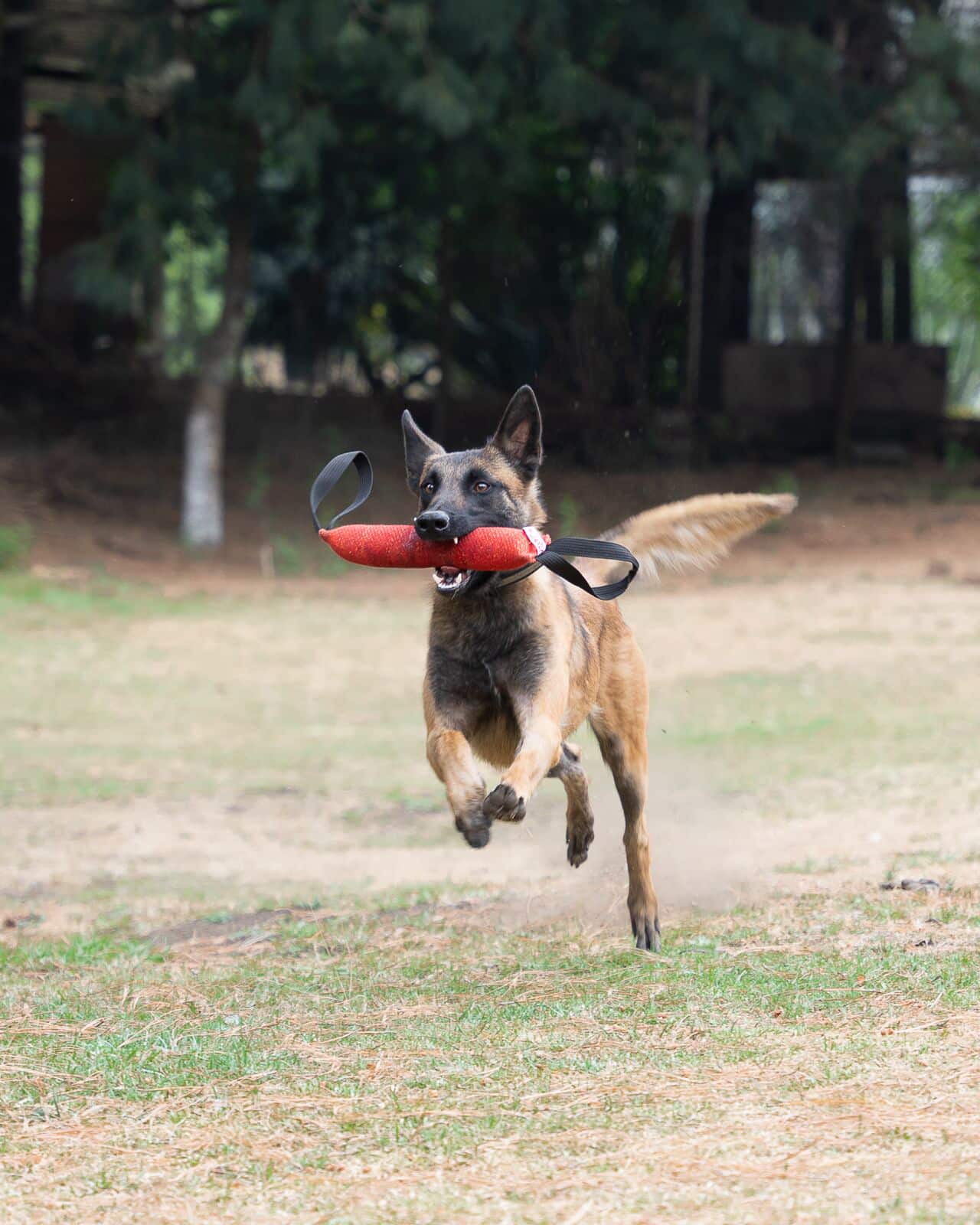 608215335_25725177117106234_72246088421262053_n