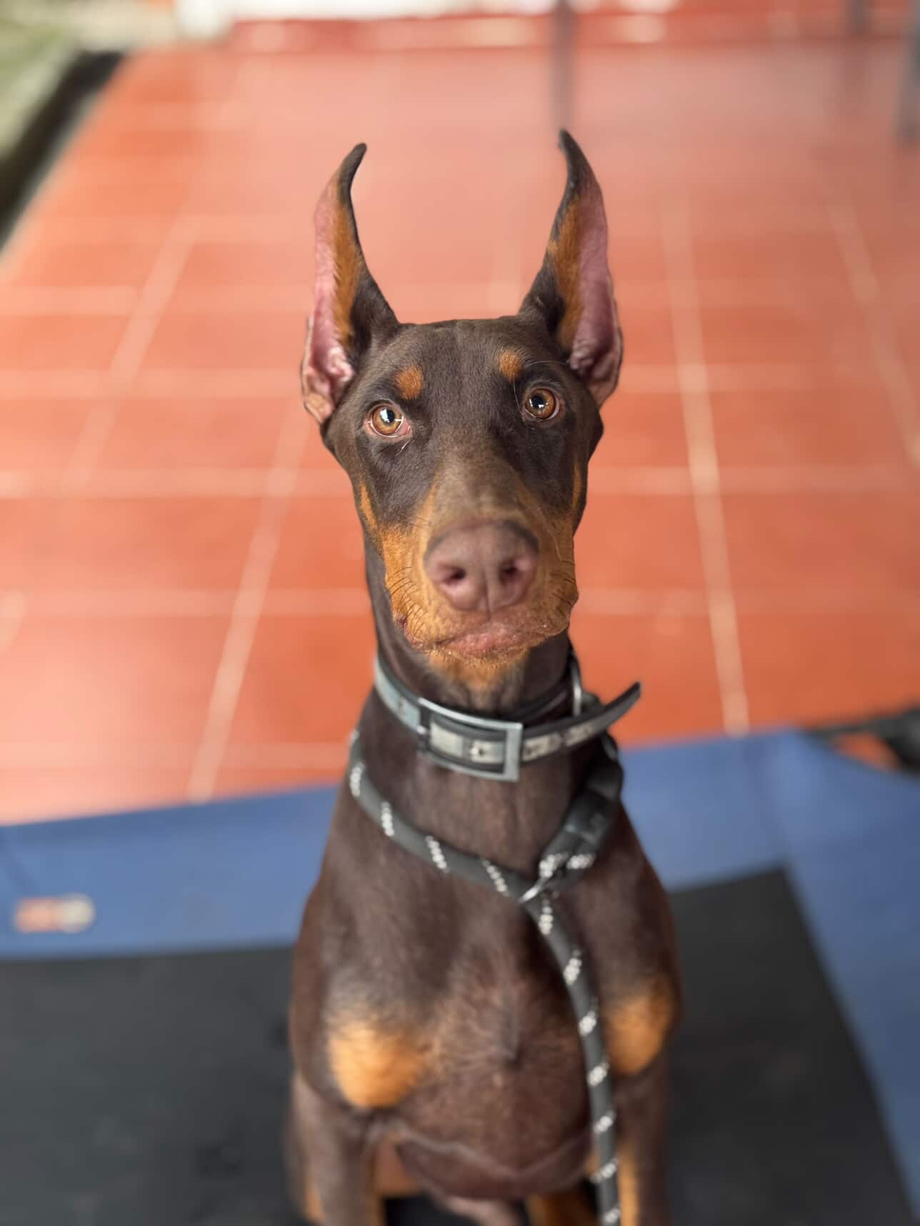 609715800_33022439214071508_2328672464304713132_n